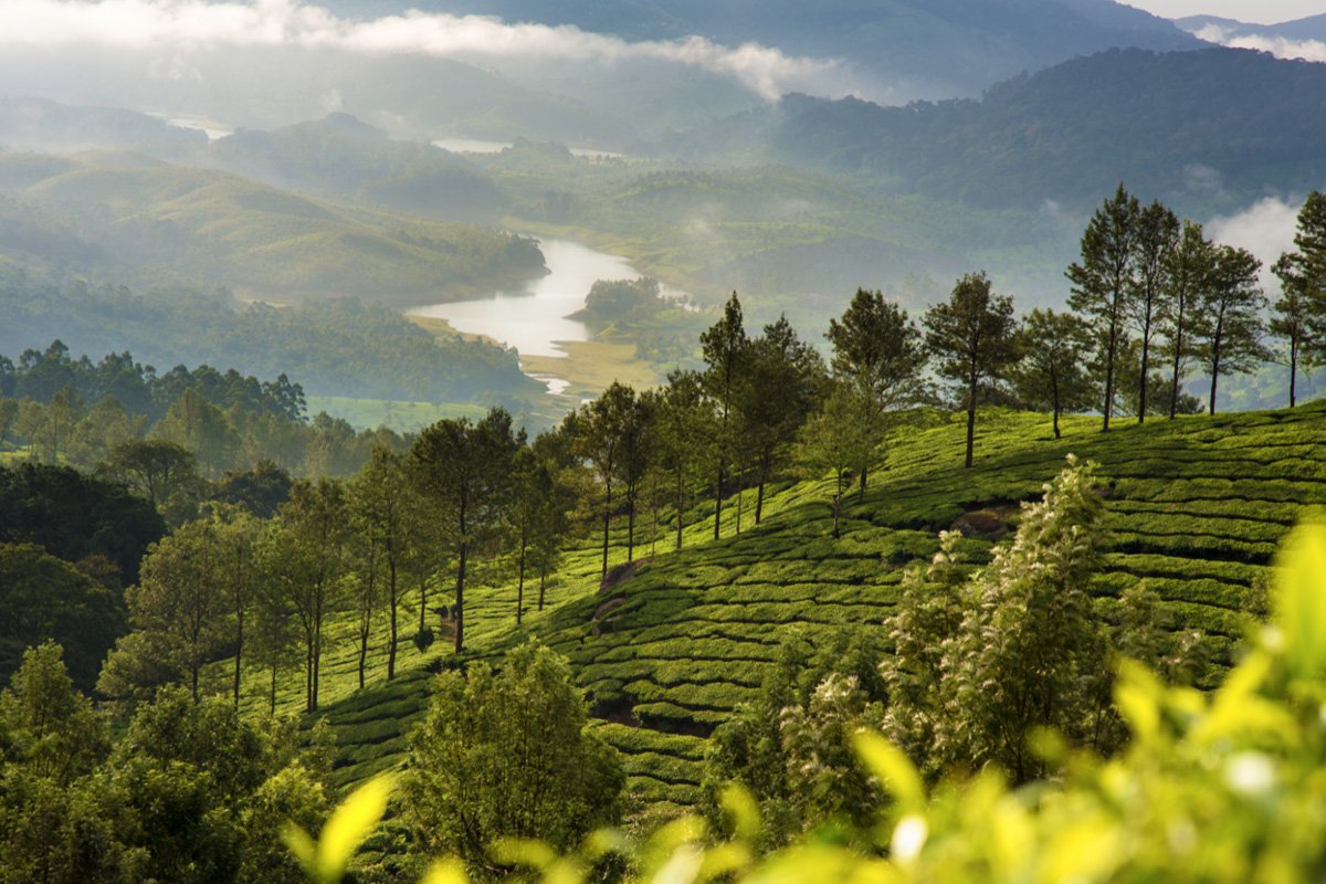 munnar2